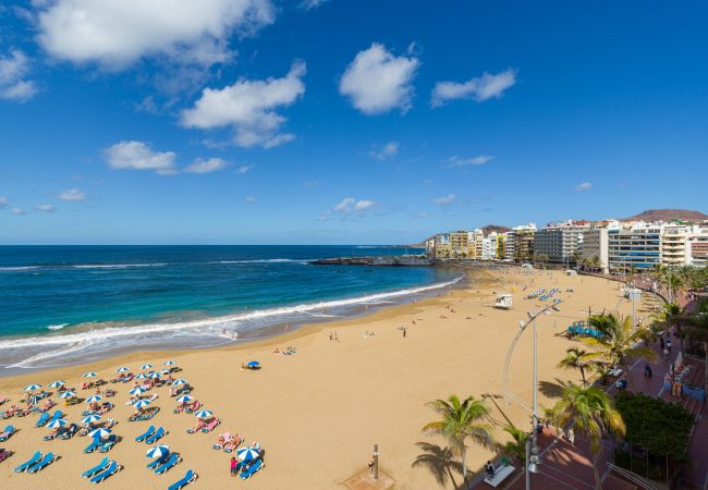 Casa en Las Palmas de Gran Canaria - Yang