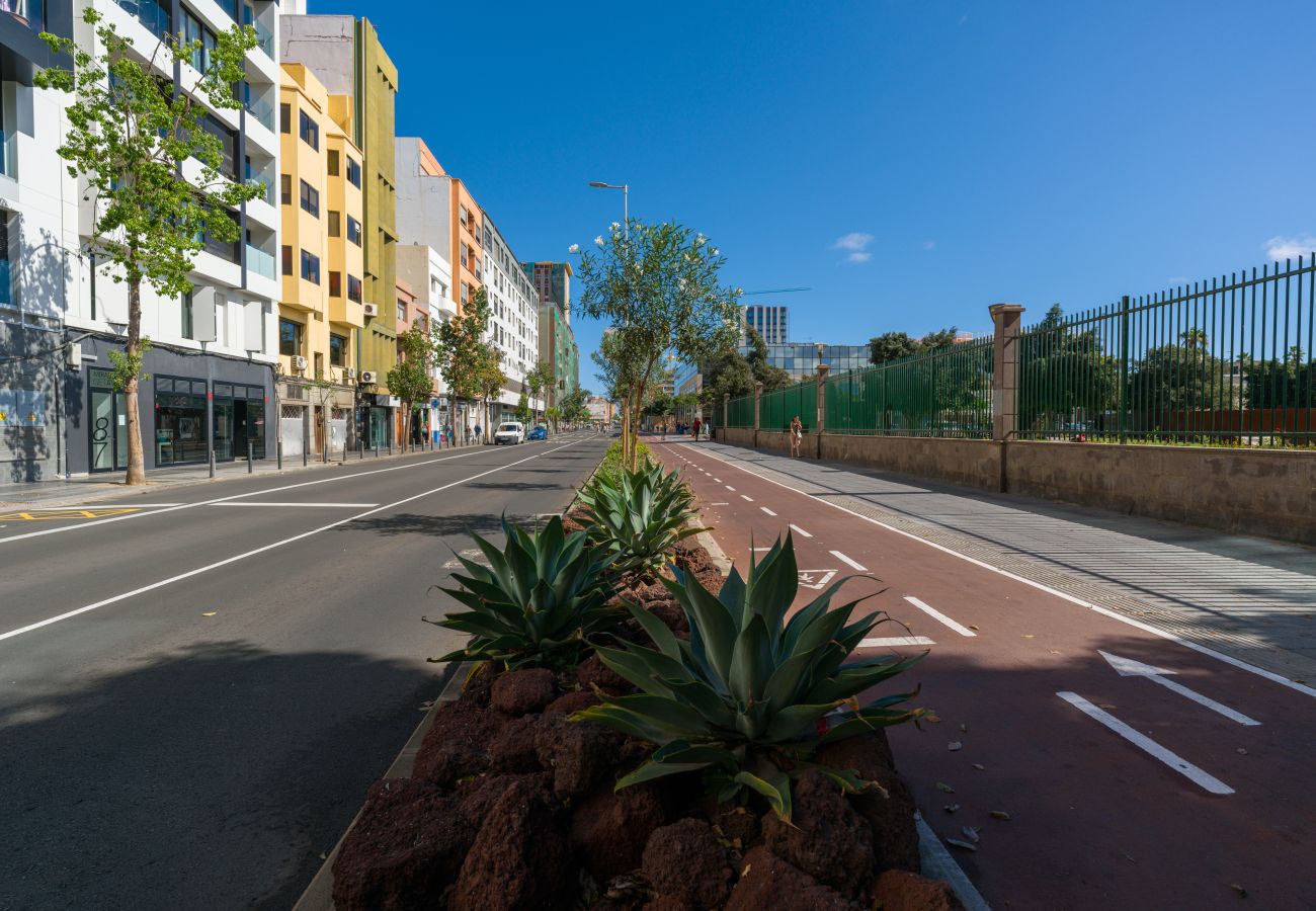 Estudio en Las Palmas de Gran Canaria -  The Aesthetic Haven By CanariasGetaway