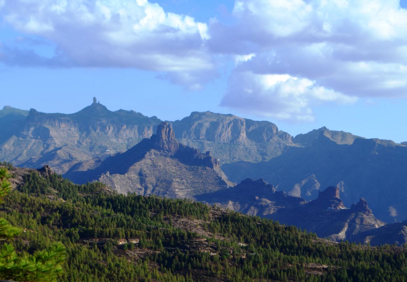 Montañas volcánicas de Gran Canaria rodeadas de bosques de pinos