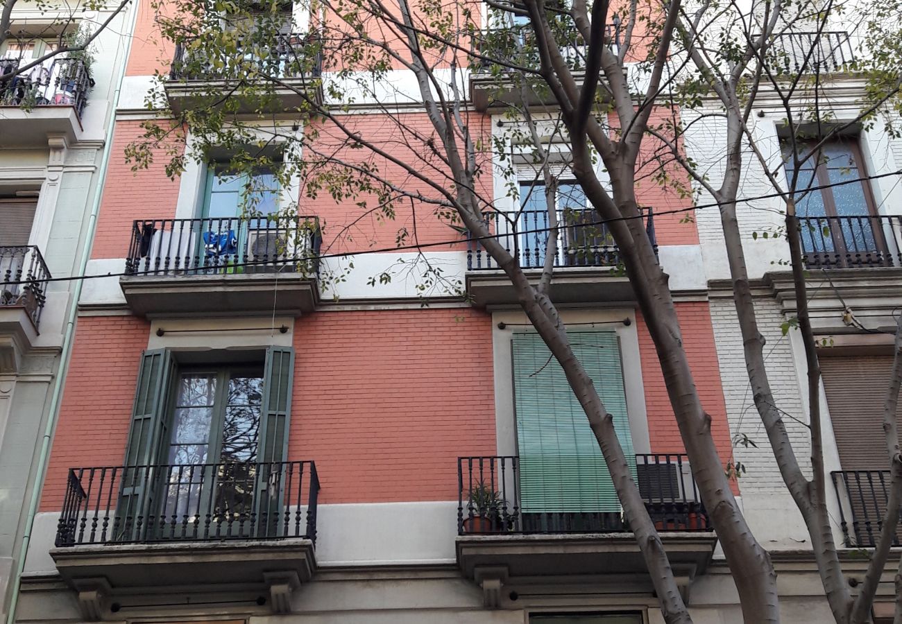Appartement à Barcelone - SANT ANTONI, appartement spacieux, lumineux, confortable et tranquile à Barcelone centre