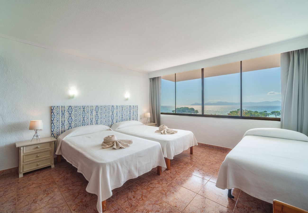 Appartement à Alcudia - Apartamento The Shell 2