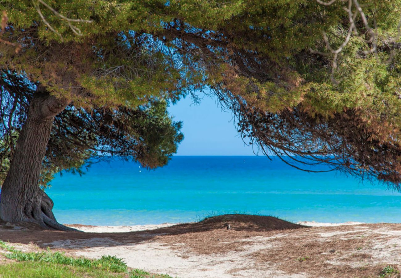 Appartement à Alcudia - Countess Garden 2.2 (Sun of the Bay Vidalba 2)