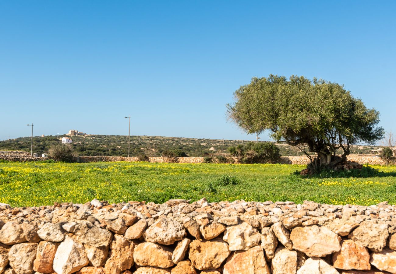 Villa à Ciutadella de Menorca - FLOMERTOR 1