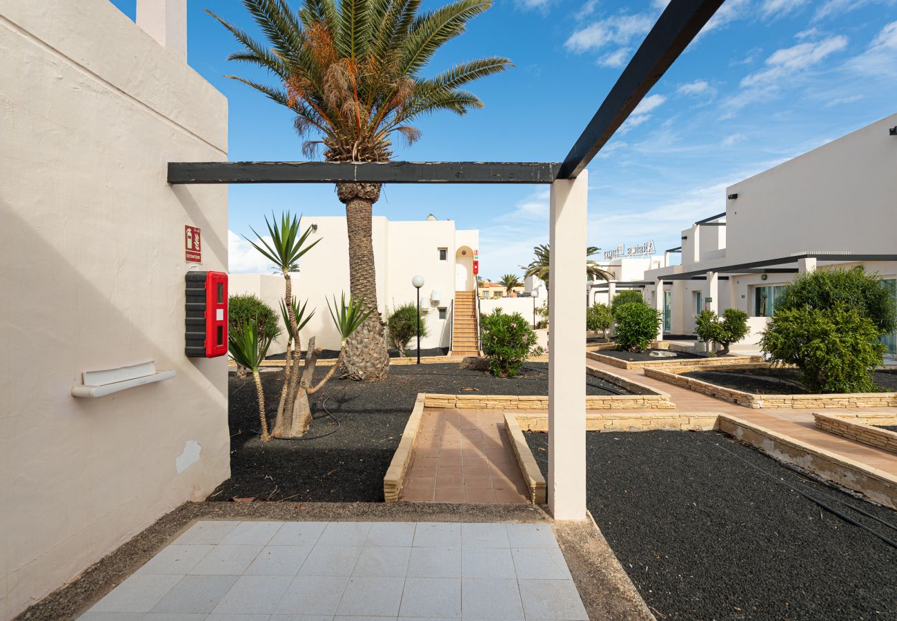 Appartement à Corralejo - Apartment with terrace, swimming pool in Corralejo - Home For Guest