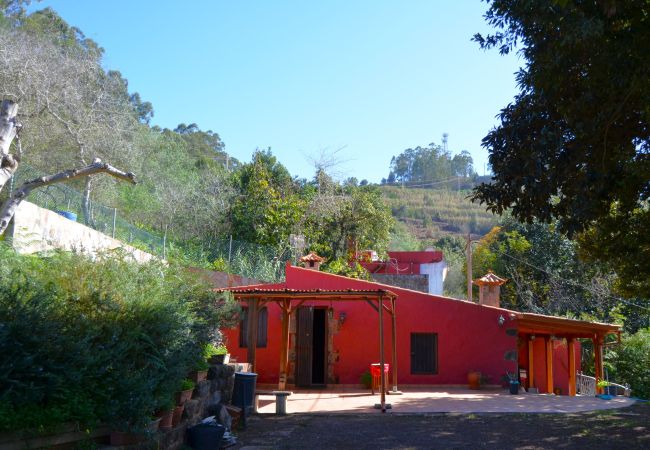 Gîte Rural à Valleseco - Sombra del Laurel