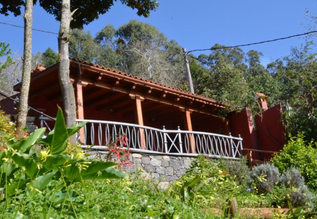 Gîte Rural à Valleseco - Sombra del Laurel