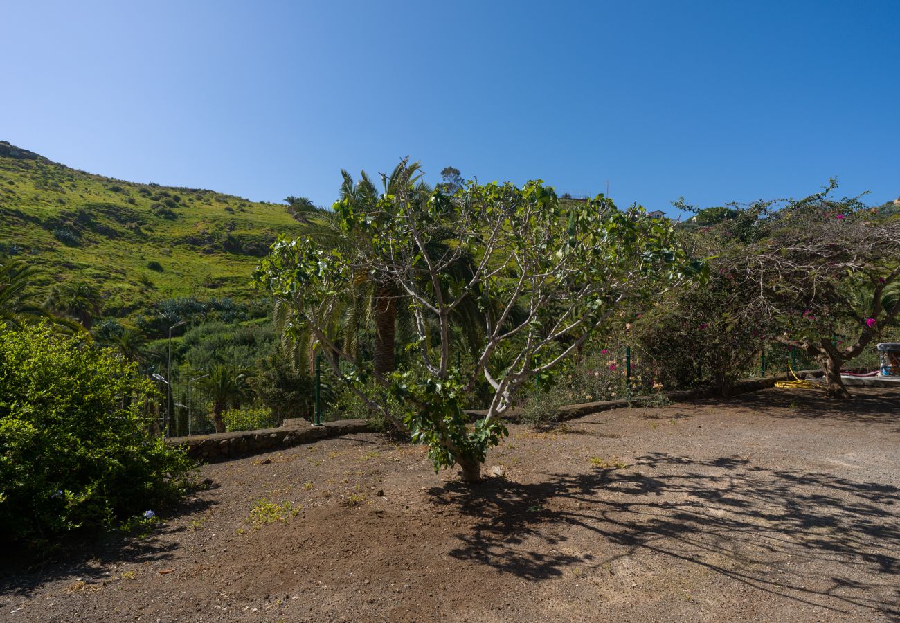 Domaine à Telde - Rustic Home By CanariasGetaway