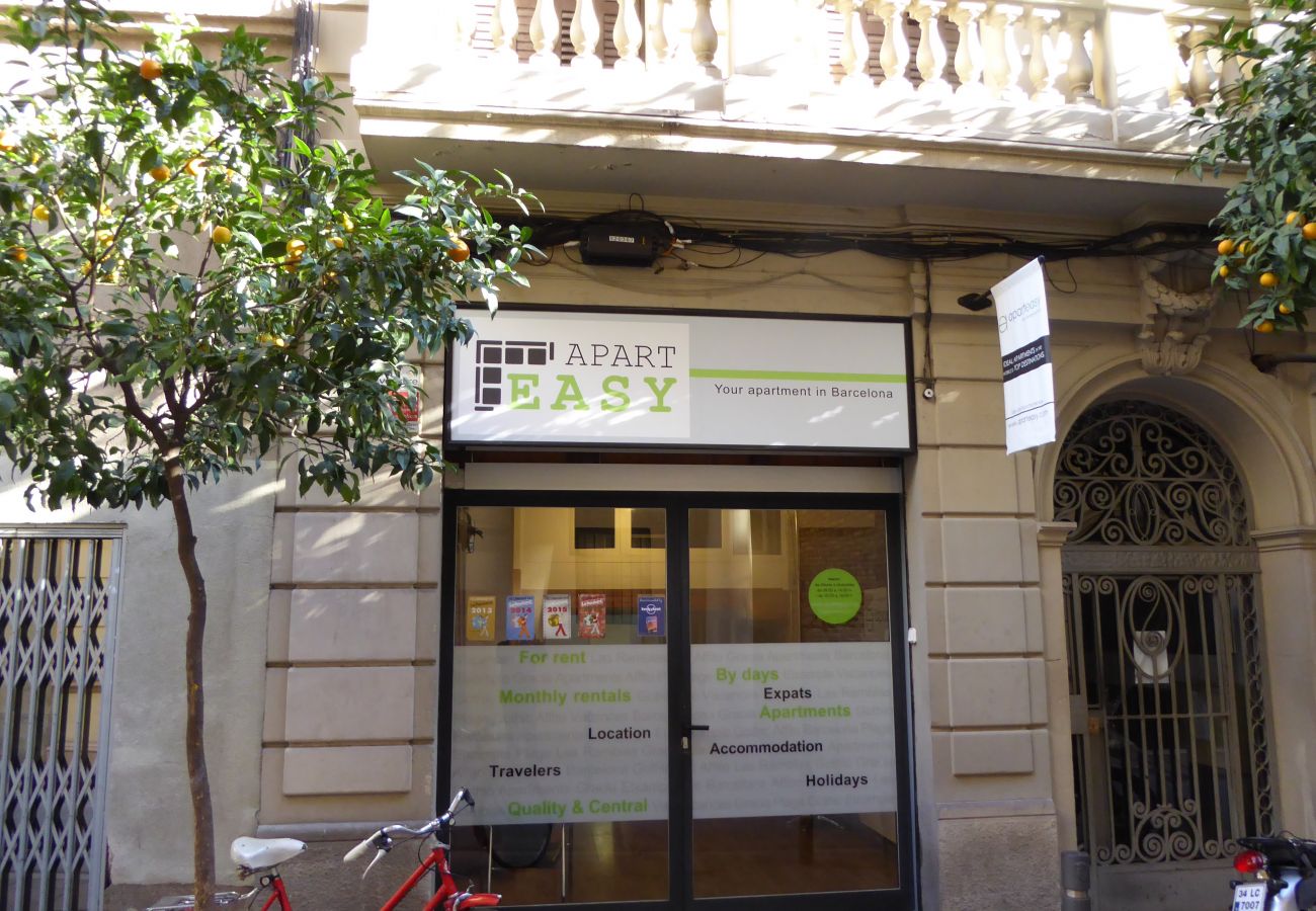 Appartamento a Barcelona - Piso con encanto, restaurado y equipado, muy bonito y luminoso en Barcelona centro, Gracia