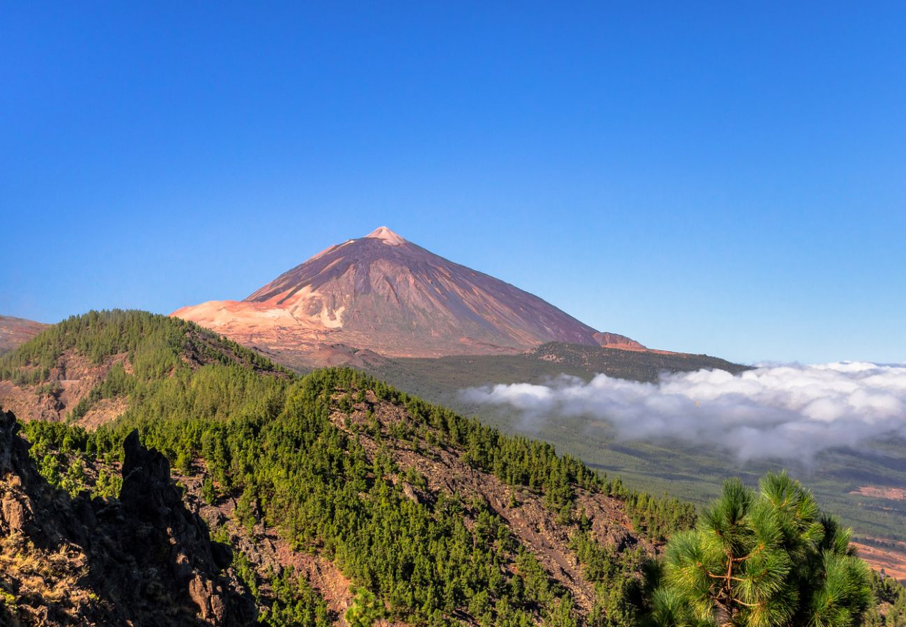Appartamento a Tenerife - HomeForGuest Design Attic Apartment, FREE parking