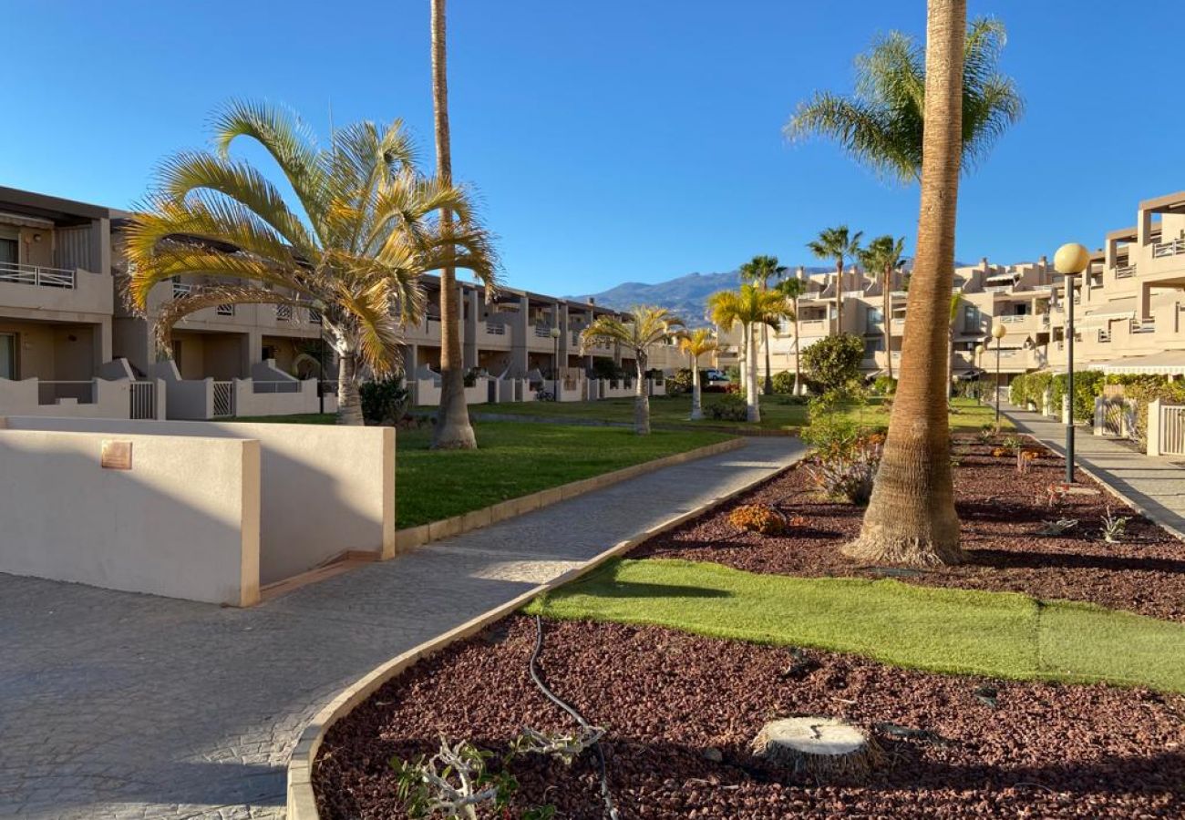 Appartamento a Granadilla de Abona - Spacious and bright BEACHFRONT Apartament - HomeForGuest