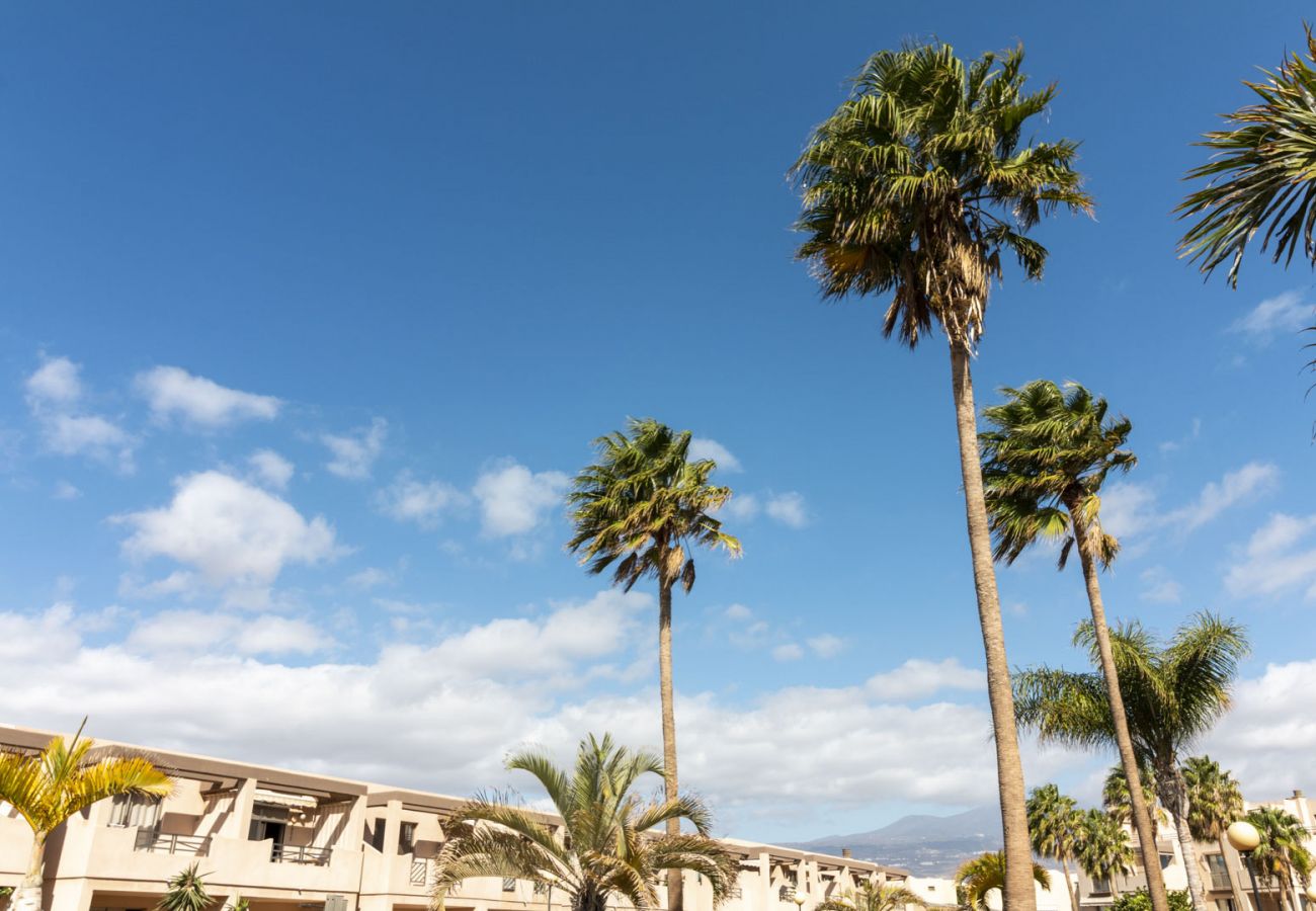Appartamento a Granadilla de Abona - Spacious and bright BEACHFRONT Apartament - HomeForGuest