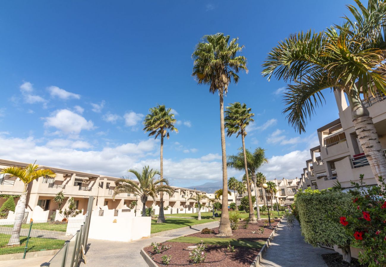 Appartamento a Granadilla de Abona - Spacious and bright BEACHFRONT Apartament - HomeForGuest