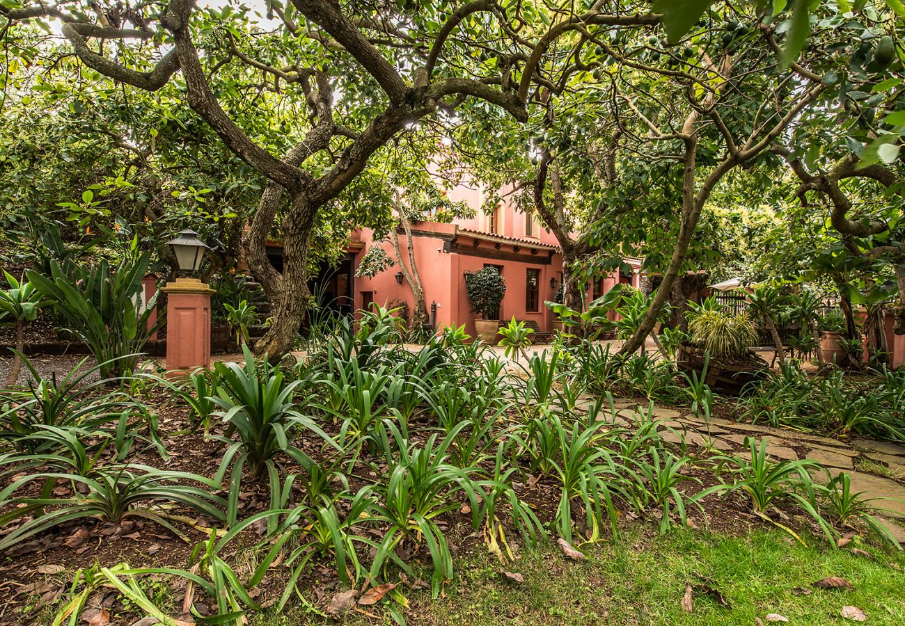 Appartamento a Tacoronte - HomeForGuest Cosy rural flat El Romero with large gardens