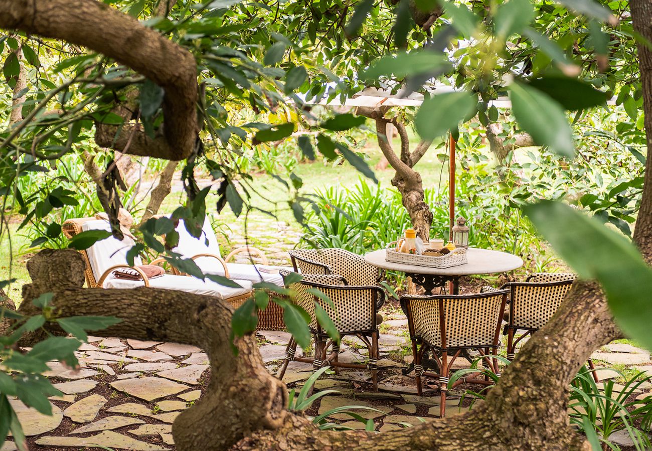 Appartamento a Tacoronte - HomeForGuest Cosy rural flat El Romero with large gardens