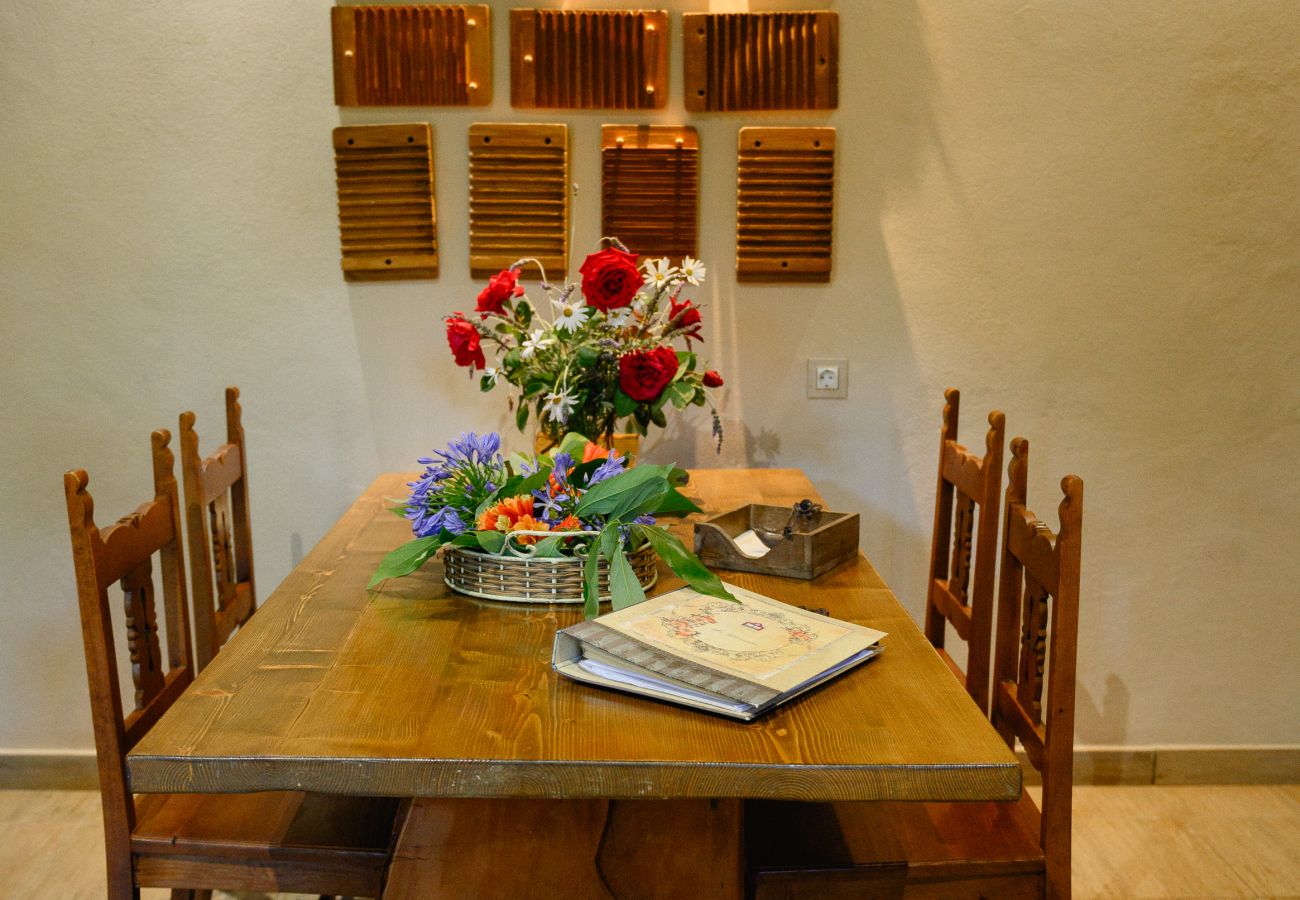 Appartamento a Tacoronte - HomeForGuest Cosy rural flat La Lavanda surrounded by nature