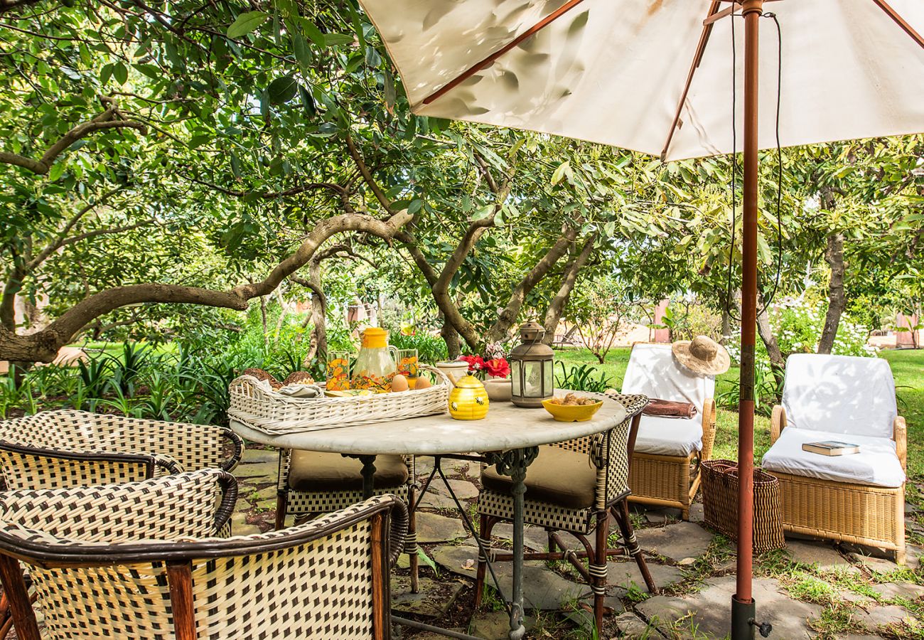 Casa rurale a Tacoronte - HomeForGuest Rural House El Laurel with terrace and large gardens