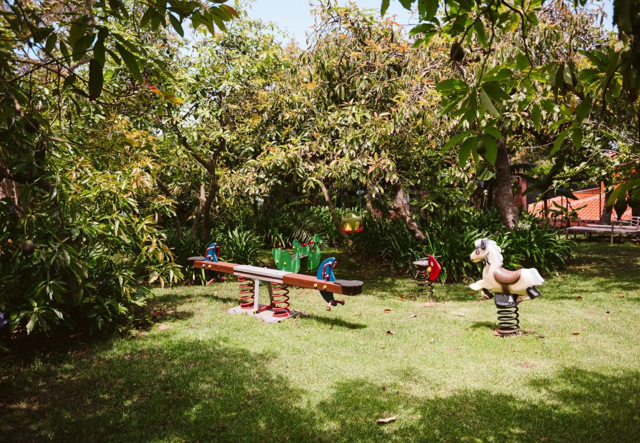 Casa rurale a Tacoronte - HomeForGuest Rural House El Laurel with terrace and large gardens