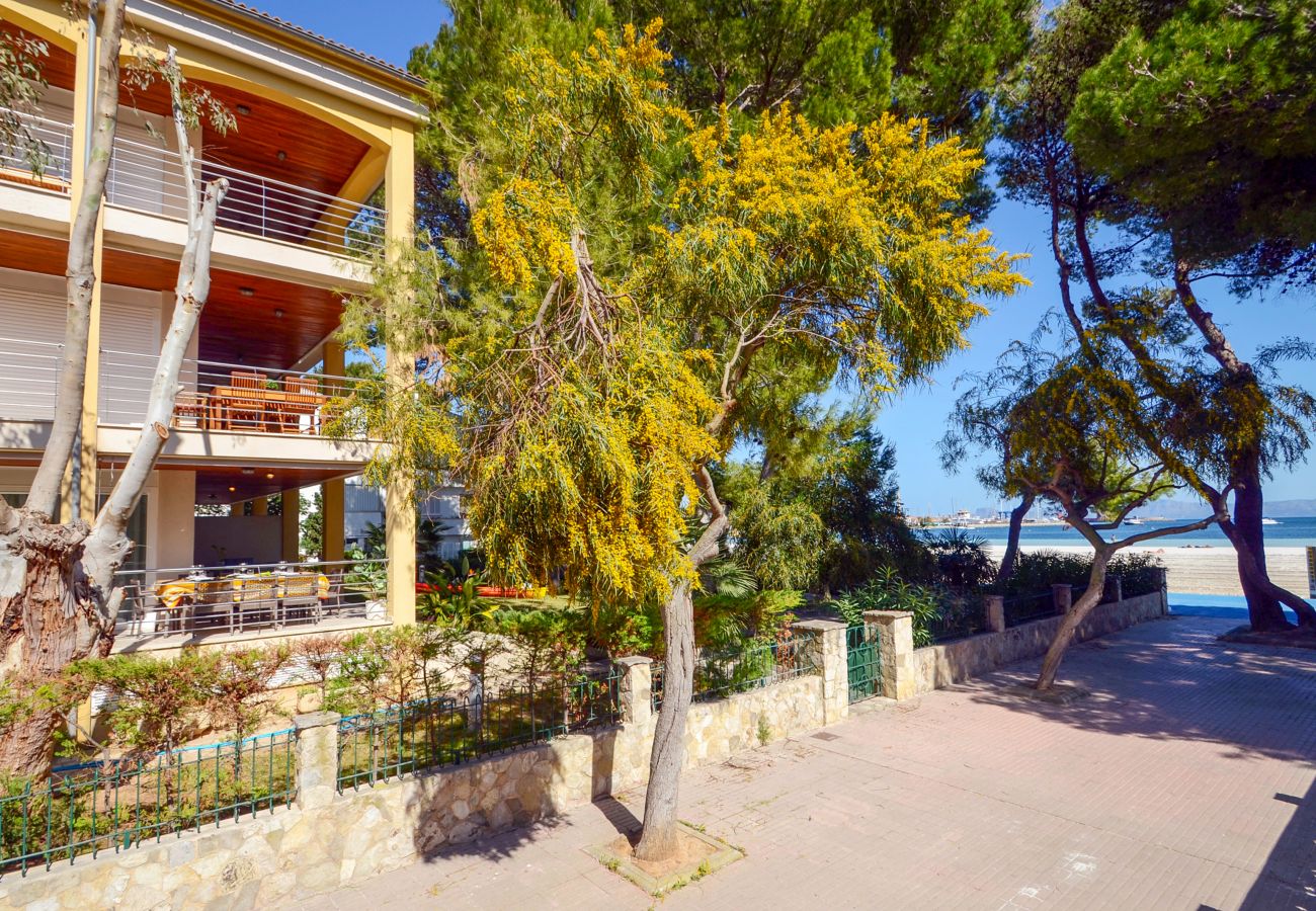 Apartment in Alcudia - Minervas Dream Attic