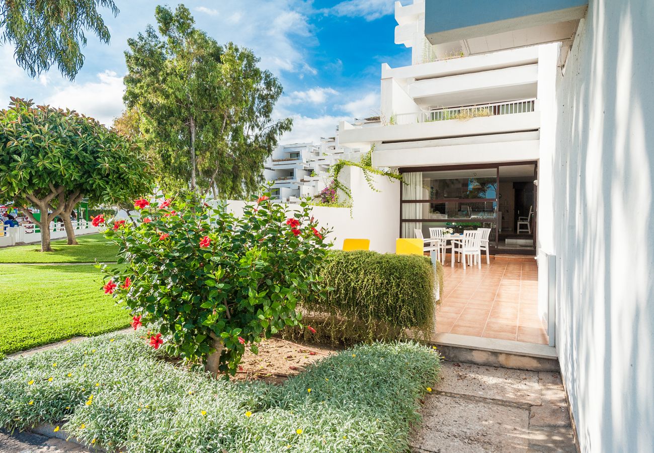 Apartment in Alcudia - Oiza Garden 113