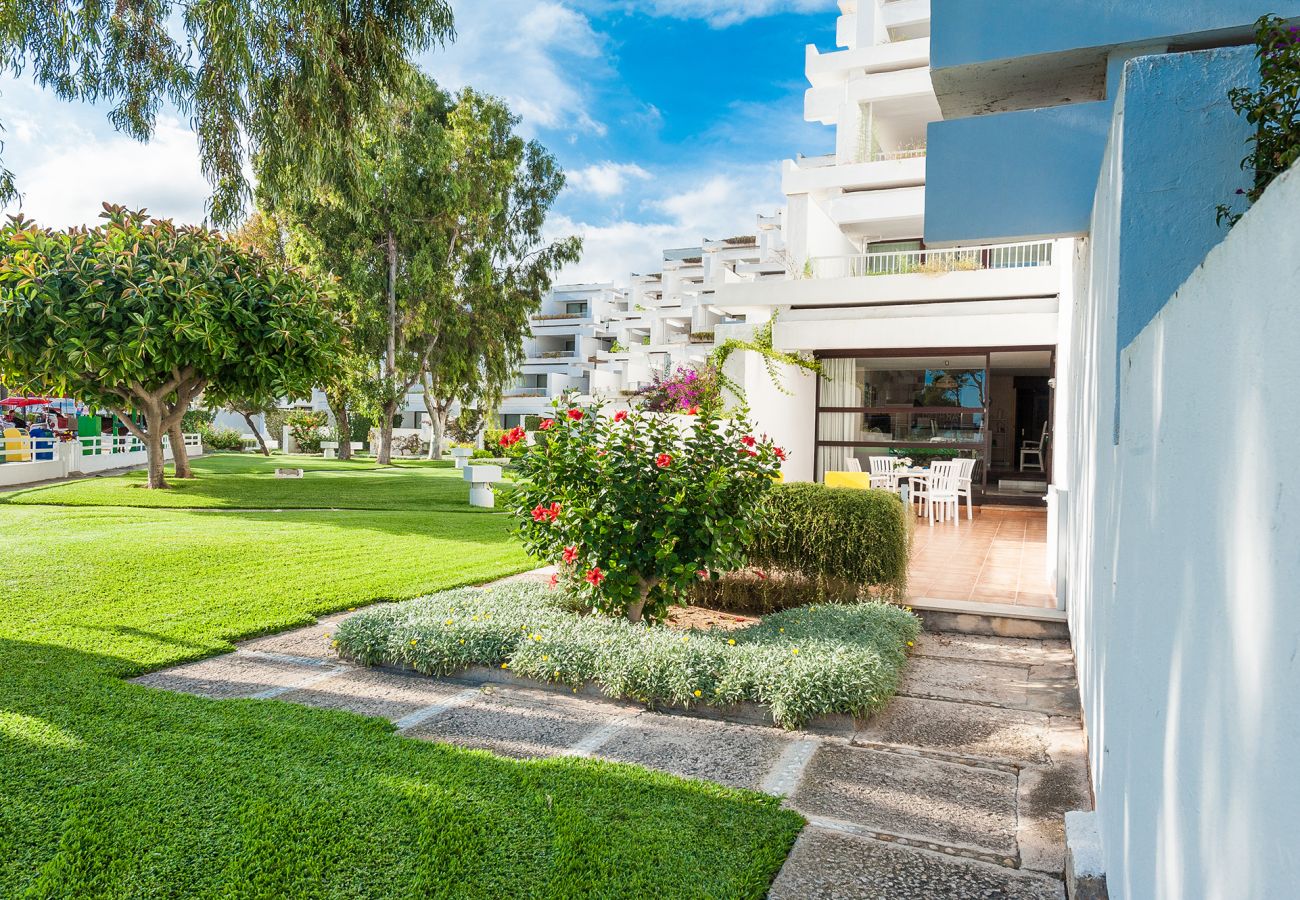 Apartment in Alcudia - Oiza Garden 113