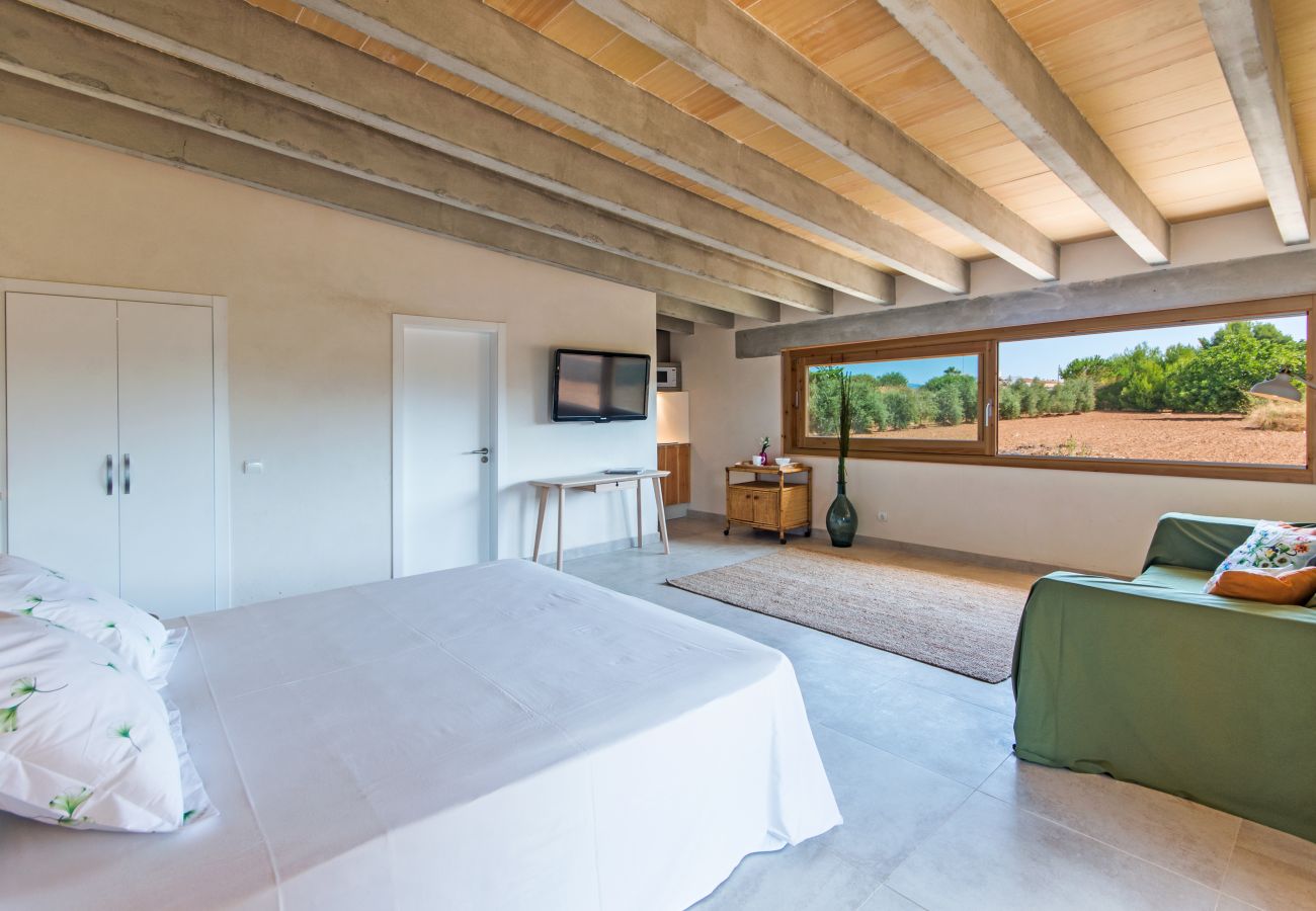 Villa in Alcudia - Villa Barcares Gran for 16