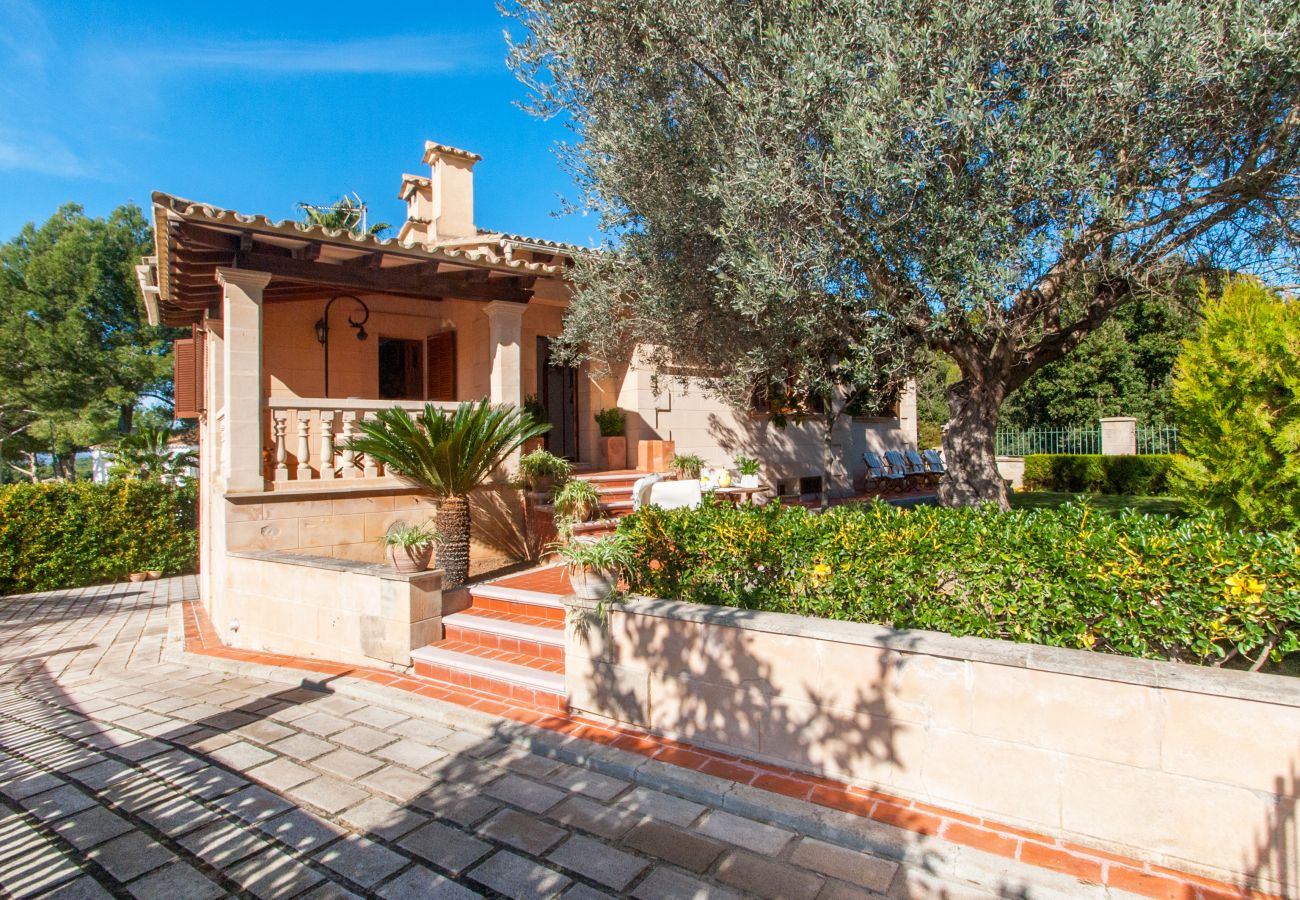 Villa in Alcudia - Villa Teix de Bonaire