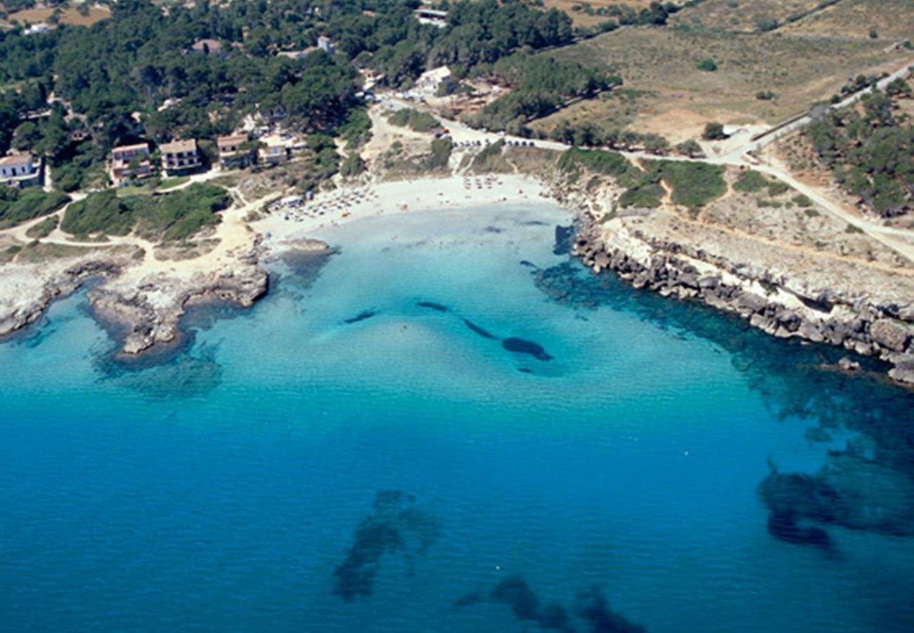 Villa in Alcudia - Villa Teix de Bonaire