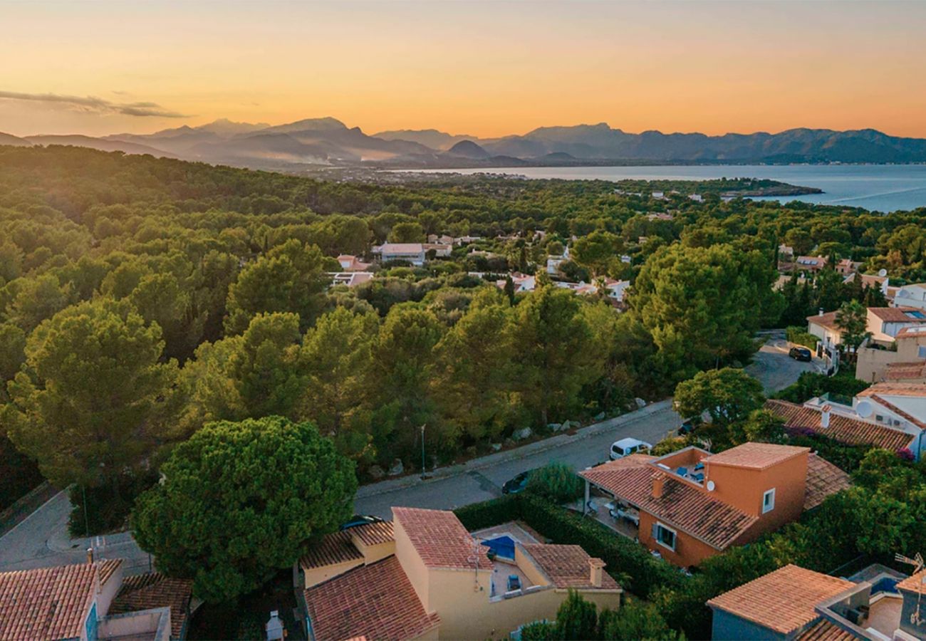 Villa in Alcudia - Villa Teix de Bonaire