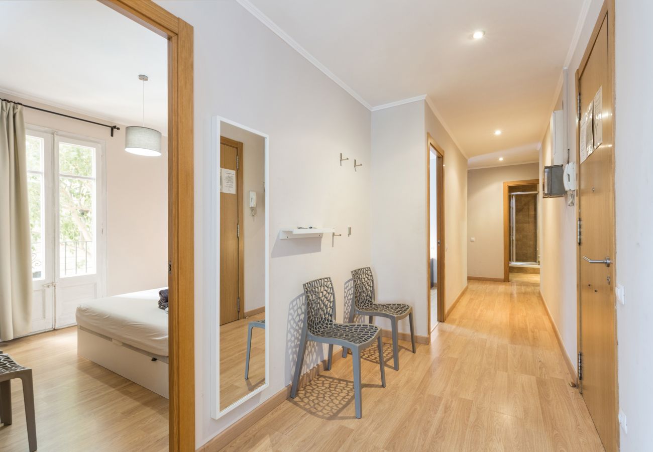 Apartment in Barcelona - Family CIUTADELLA PARK, 4 bedrooms large flat in Barcelona center.