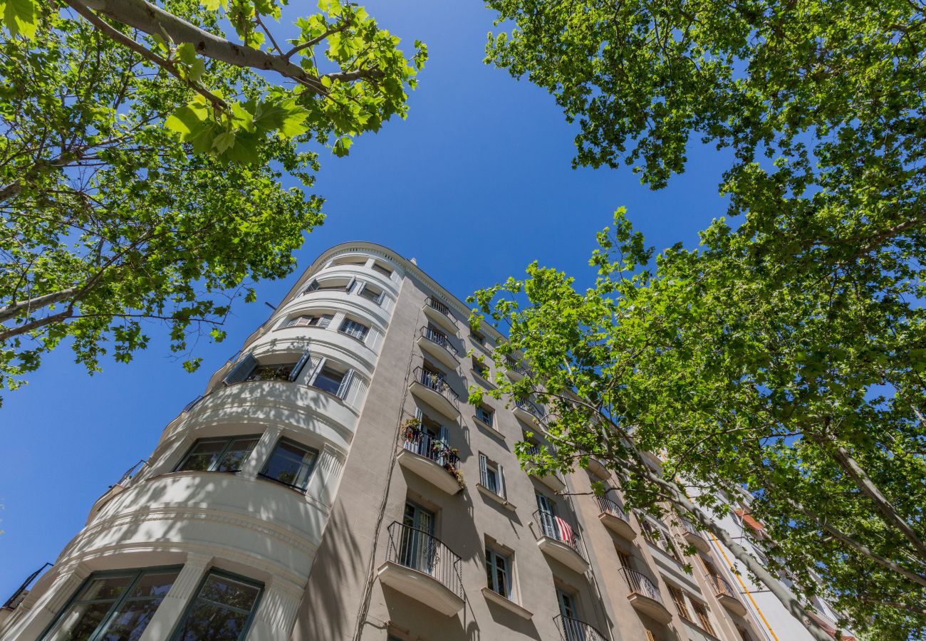 Apartment in Barcelona - Family CIUTADELLA PARK, large, very nice and bright, shared terrace in Barcelona center