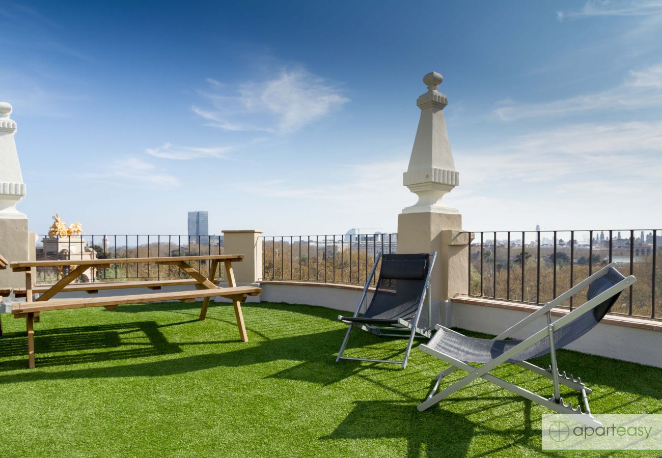 Apartment in Barcelona - Family CIUTADELLA PARK, large, very nice and bright, shared terrace in Barcelona center