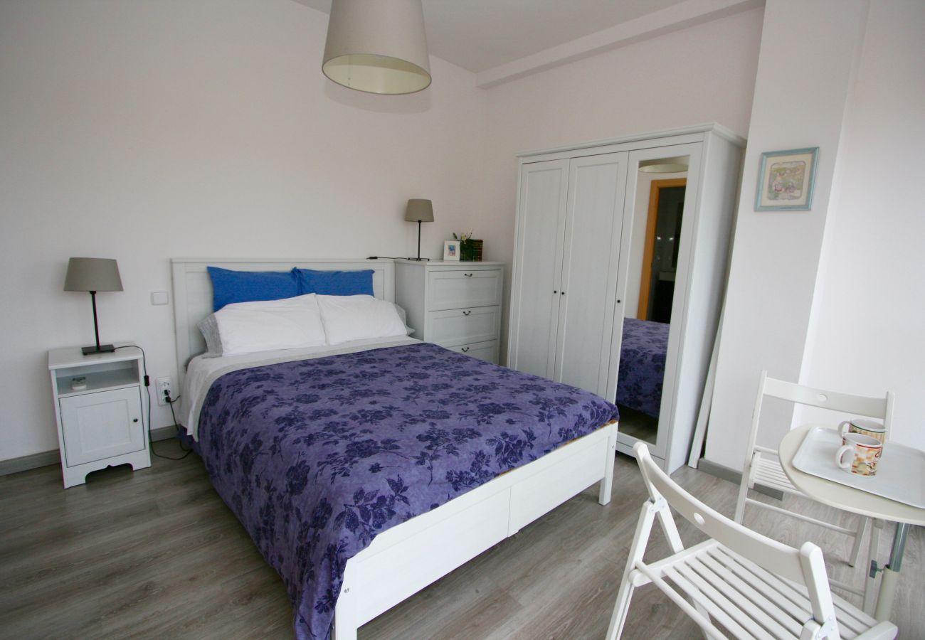 Apartment in Barcelona - PLAZA ESPAÑA DELUXE & FIRA, nice, cute ,large and sunny light flat for rent by days in Barcelona, Plaza España.