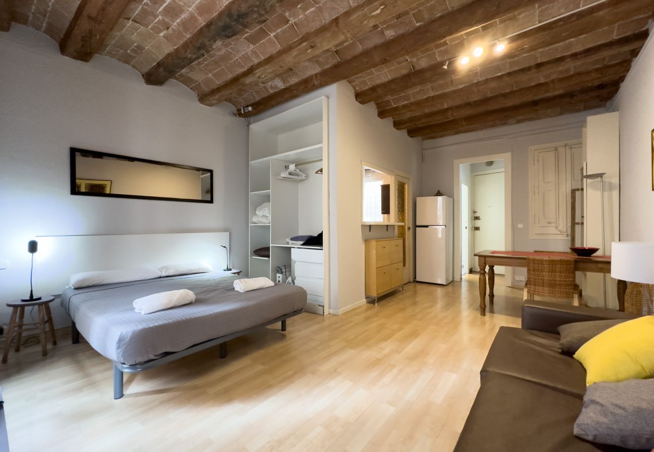 Apartment in Barcelona - Lovely, cute, lightly and silent studio for rent in Gracia, Barcelona center