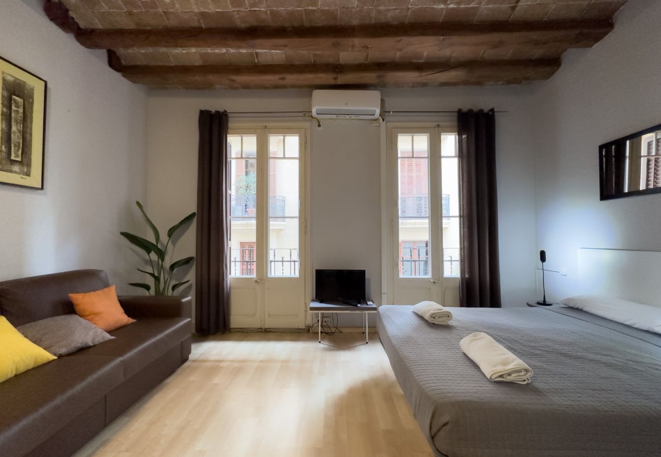 Apartment in Barcelona - Lovely, cute, lightly and silent studio for rent in Gracia, Barcelona center