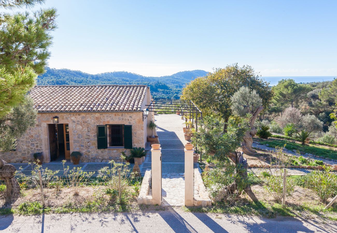 Villa in Andratx - Finca LLuisa