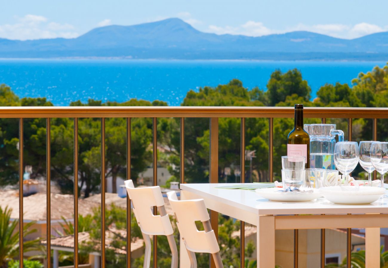 Apartment in Alcudia - Apartamento The Shell 2