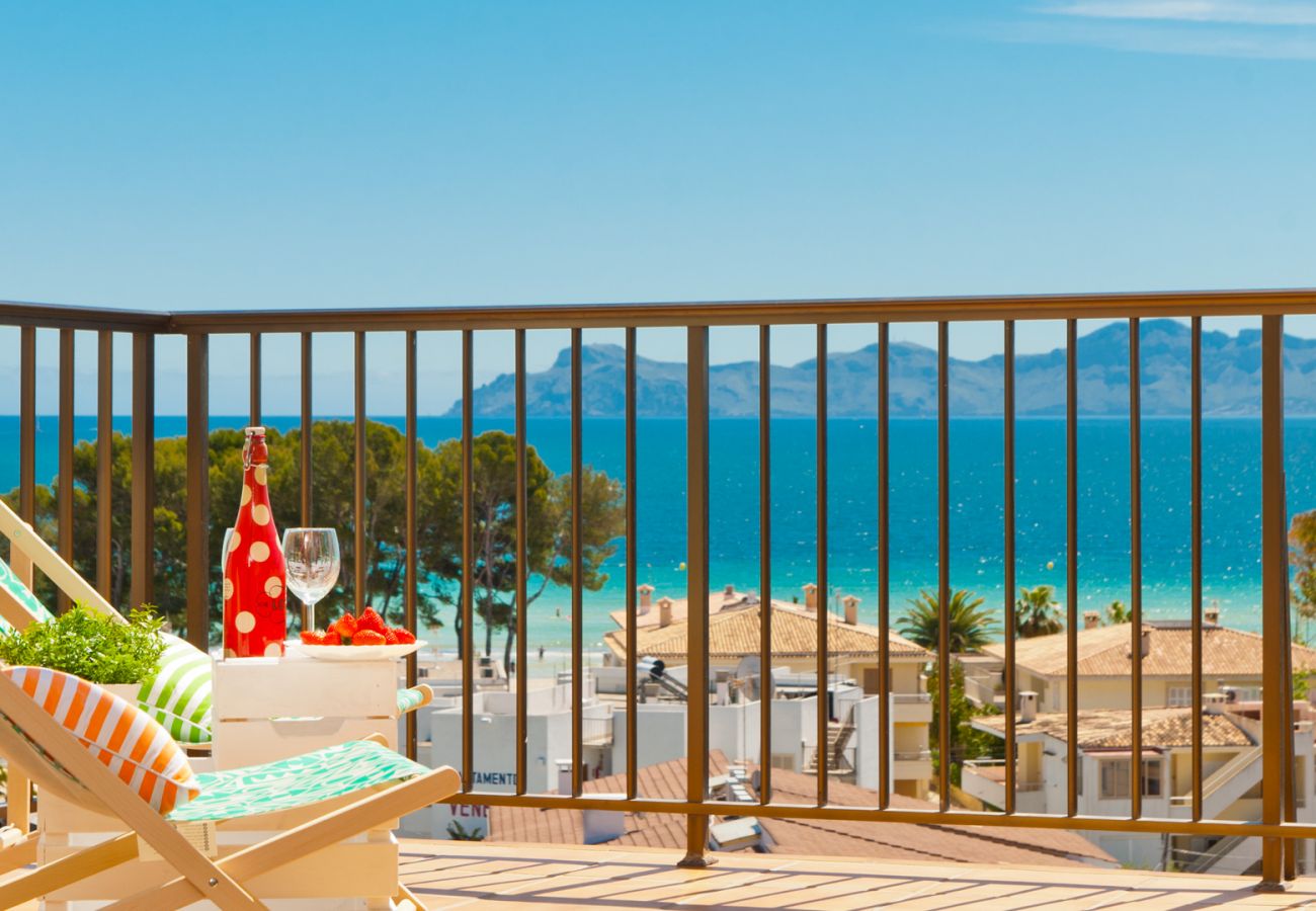Apartment in Alcudia - Apartamento The Shell 2