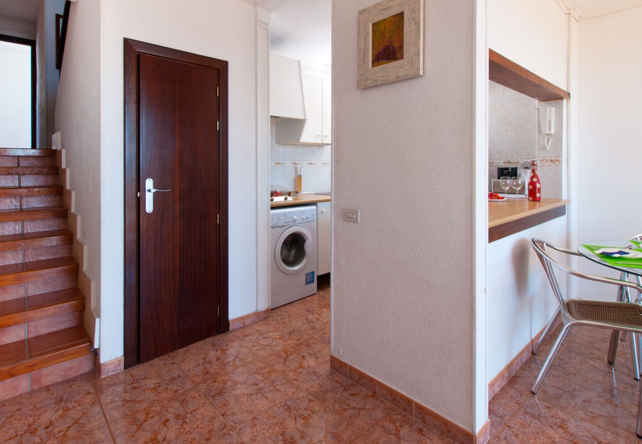 Apartment in Alcudia - Apartamento The Shell 2