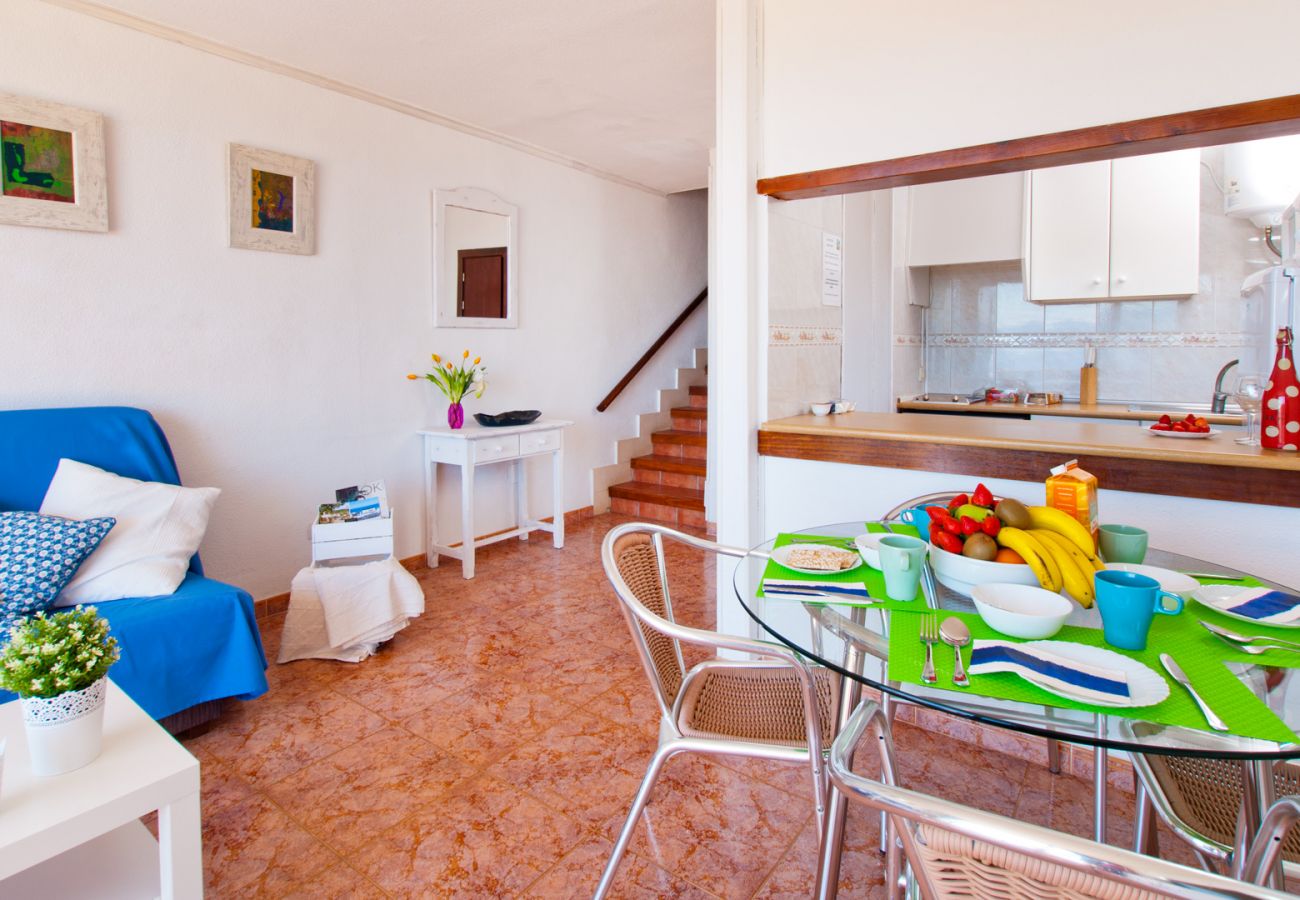 Apartment in Alcudia - Apartamento The Shell 2