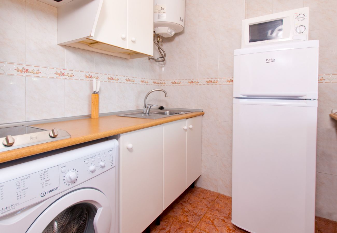 Apartment in Alcudia - Apartamento The Shell 2