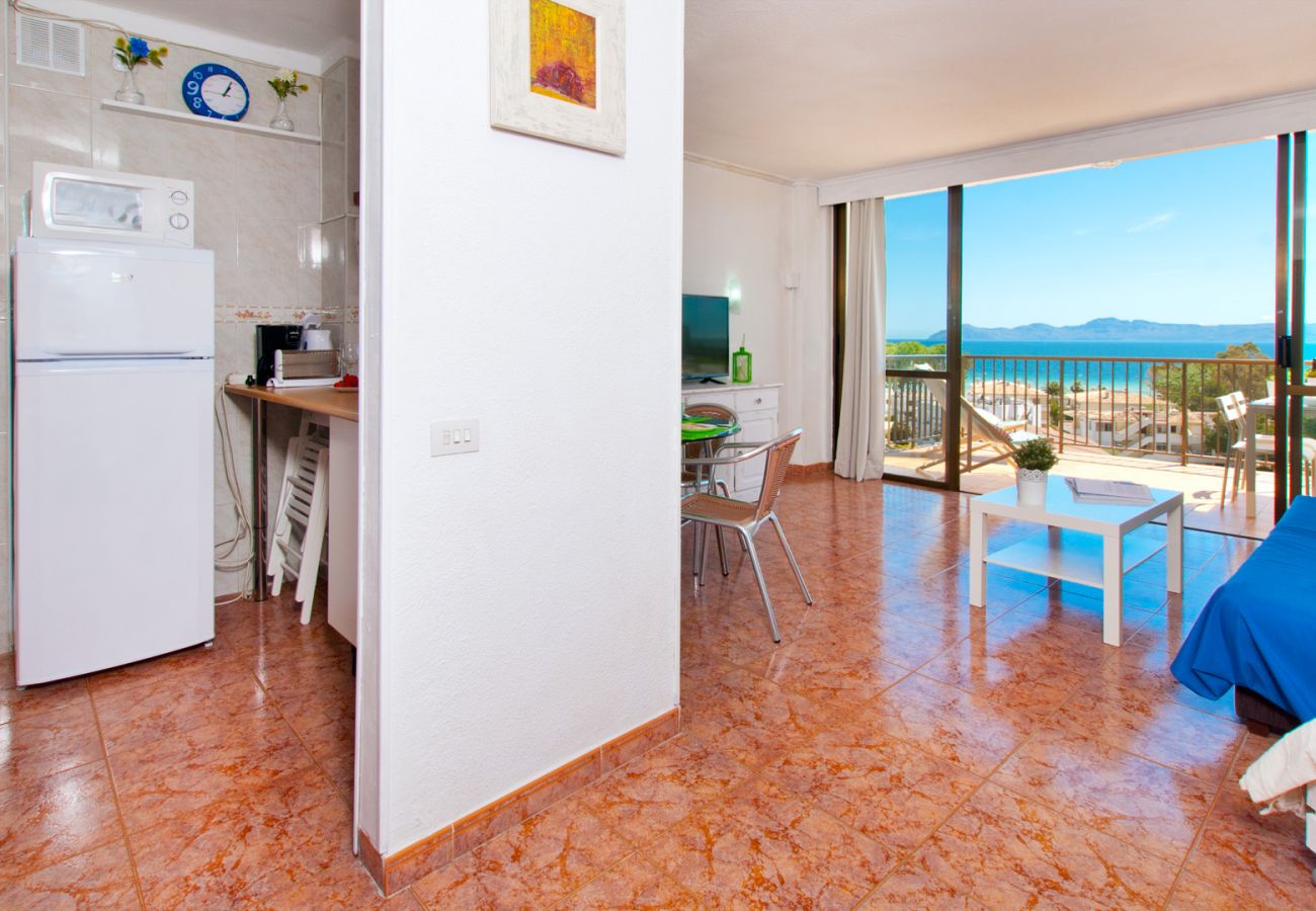 Apartment in Alcudia - Apartamento The Shell 2