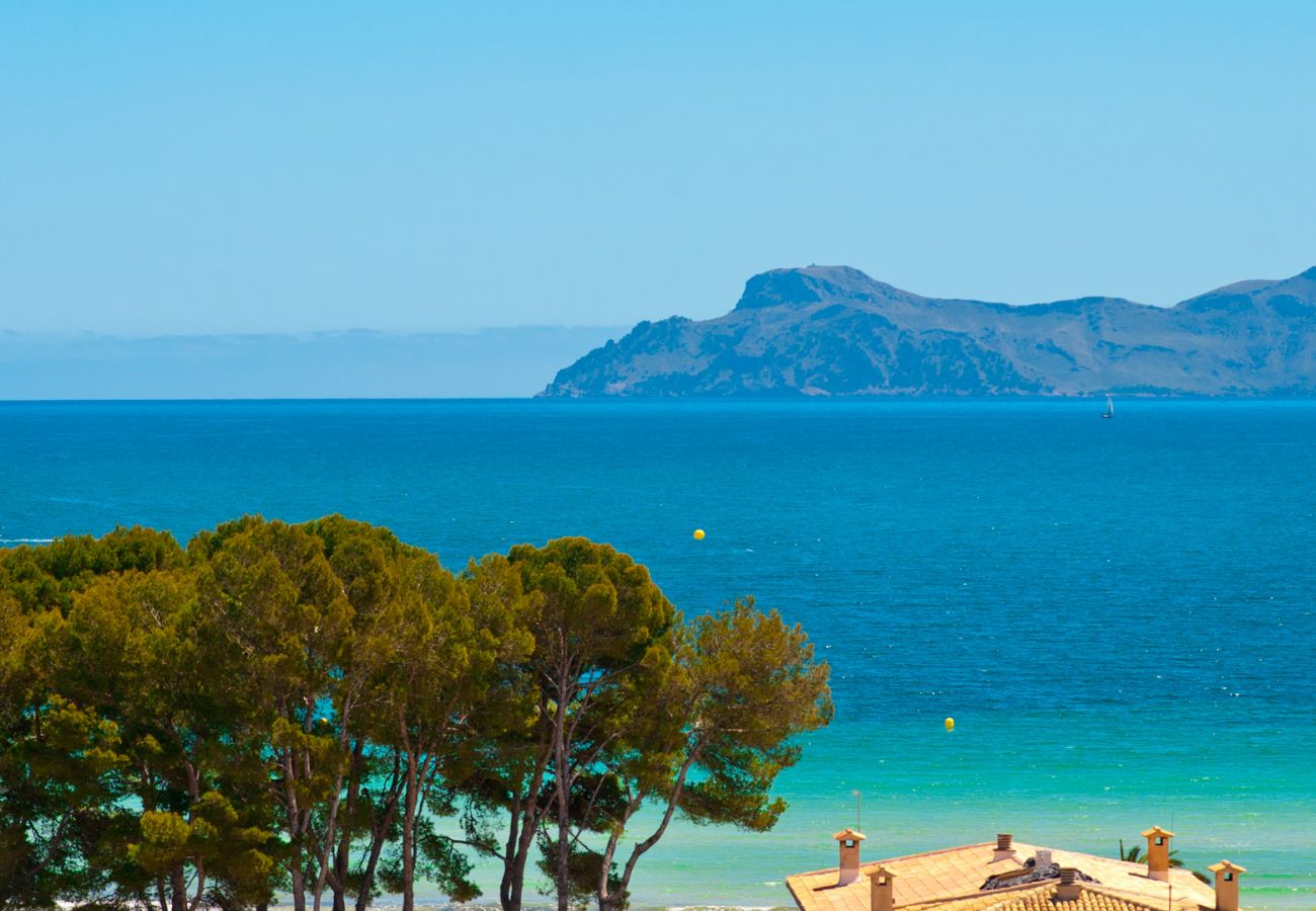 Apartment in Alcudia - Apartamento The Shell 2