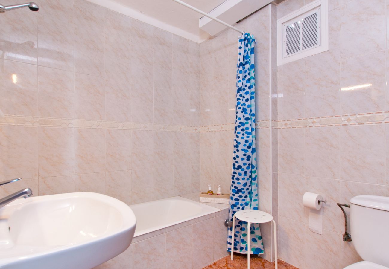 Apartment in Alcudia - Apartamento The Shell 2