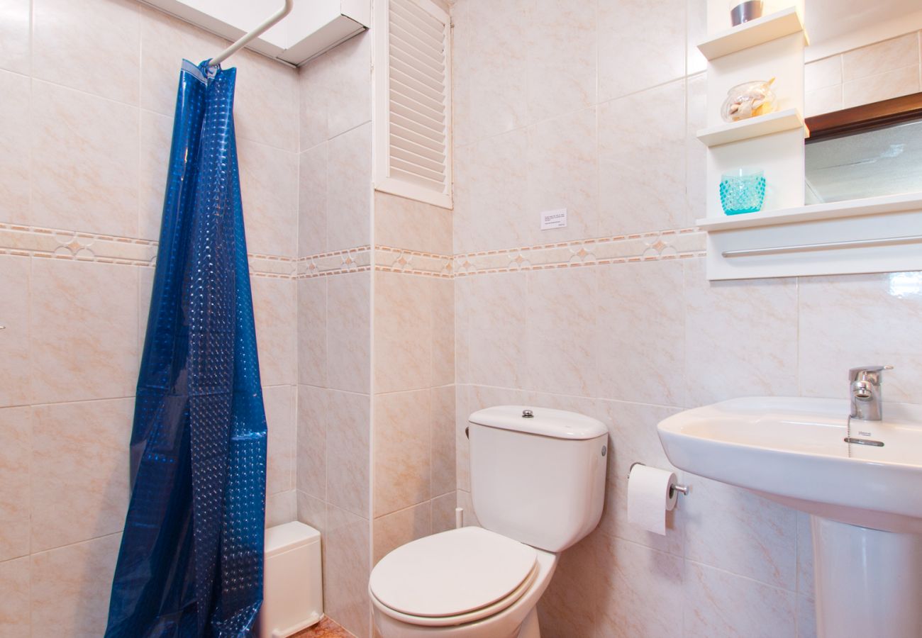 Apartment in Alcudia - Apartamento The Shell 2