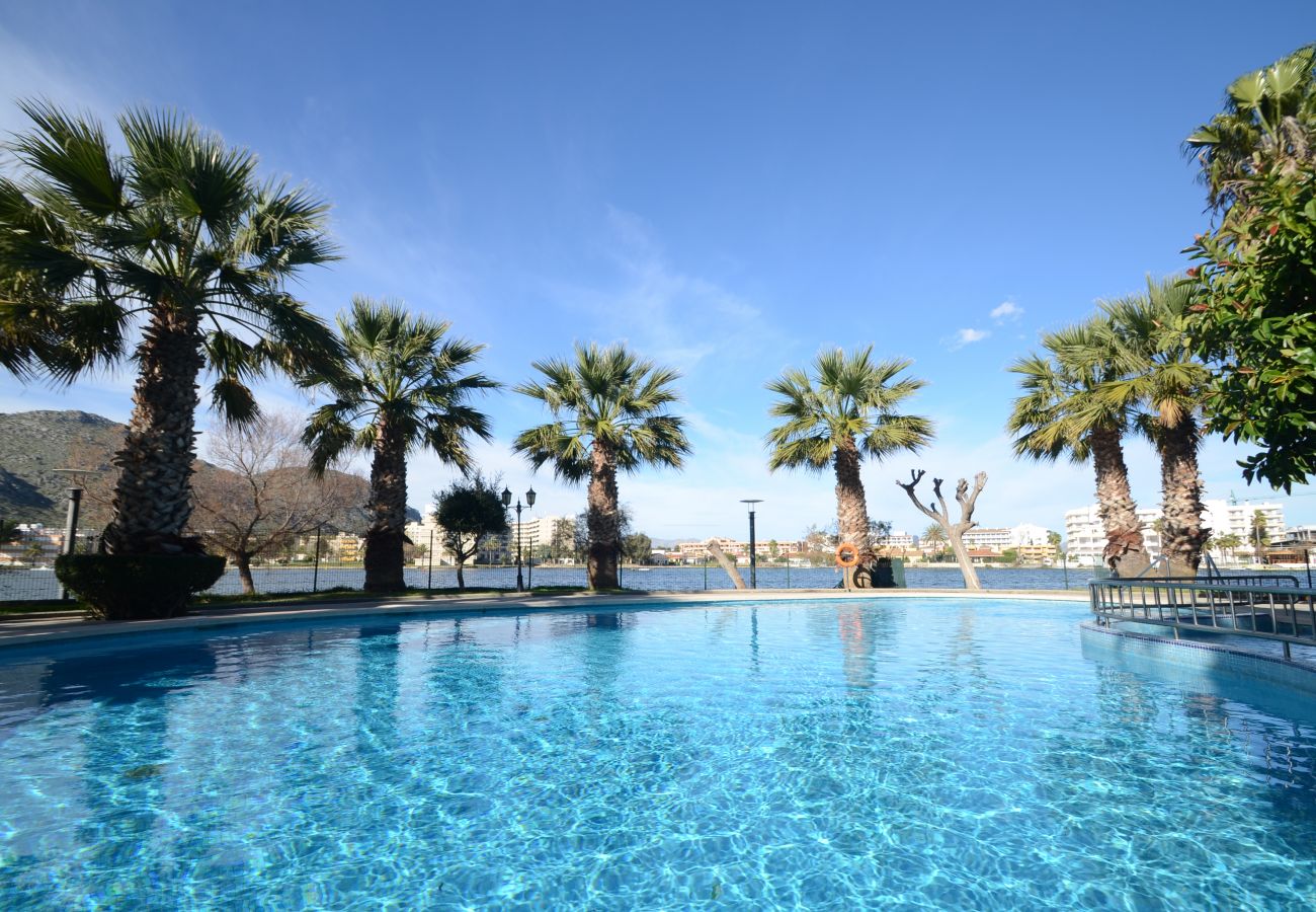 Apartment in Alcudia - Apartamento The Shell 2
