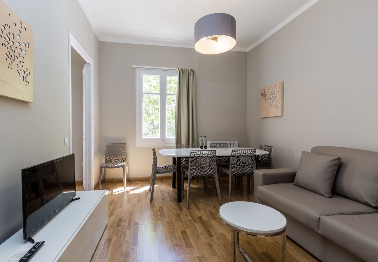 Apartment in Barcelona - Family CIUTADELLA PARK, ideal flat for families in Barcelona.