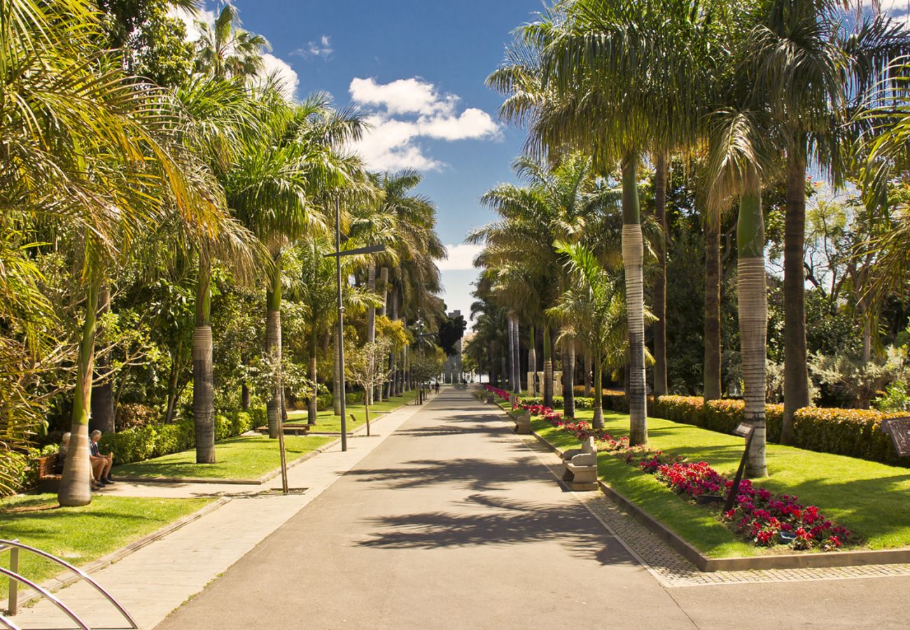 Villa in Arona - Villa Solaris Privé