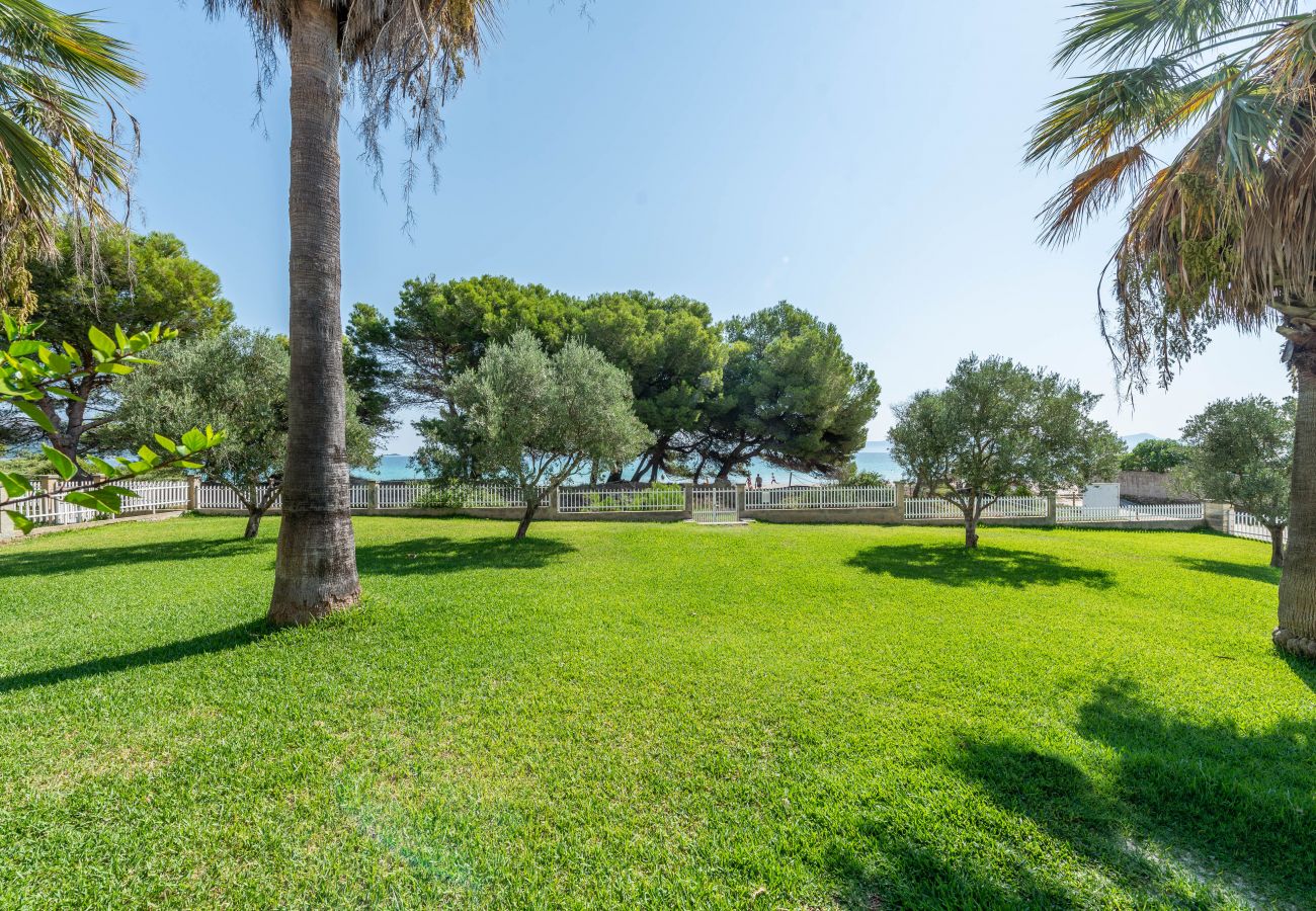 Apartment in Alcudia - Apartamento Countess Garden E