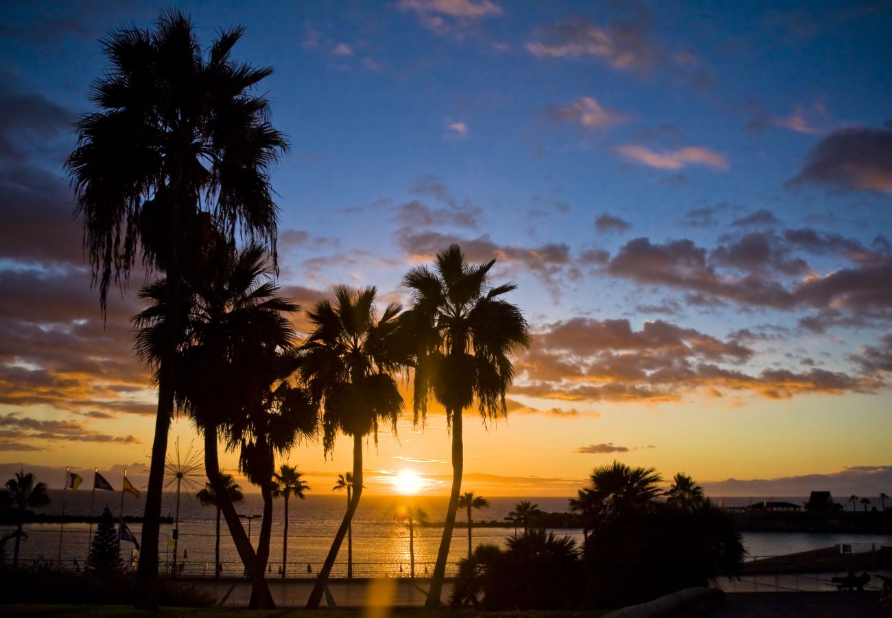 Apartment in Las Palmas de Gran Canaria - Blue Horizon Las Canteras