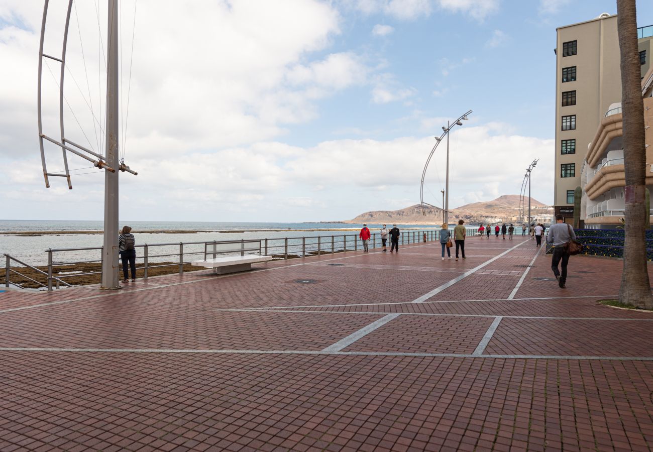 Apartment in Las Palmas de Gran Canaria - HomeForGuest New and Cozy Apartment by Las Canteras